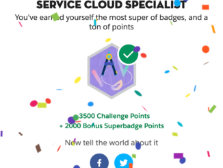 Service Cloud Specialist Superbadge