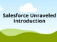 Salesforce Unraveled - Introduction